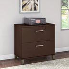 Bush Furniture Somerset 2 Drawer Lateral File Cabinet with Storage