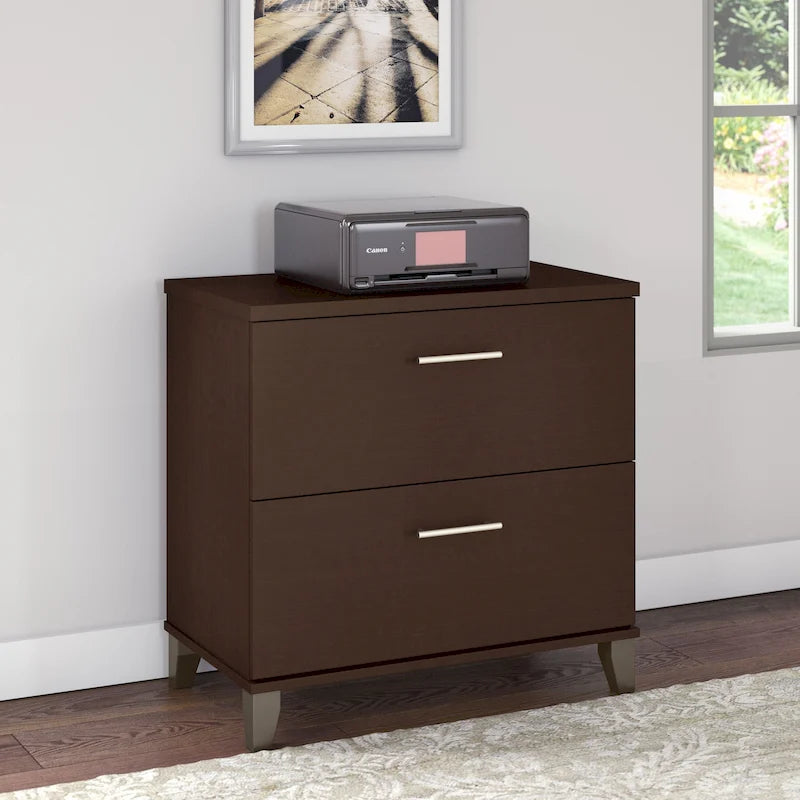 Bush Furniture Somerset 2 Drawer Lateral File Cabinet with Storage