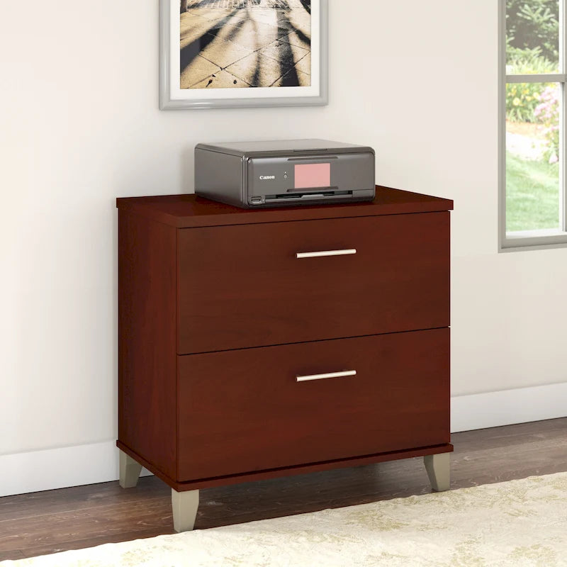 Bush Furniture Somerset 2 Drawer Lateral File Cabinet with Storage