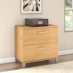 Bush Furniture Somerset 2 Drawer Lateral File Cabinet with Storage