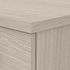 Bush Furniture Somerset 2 Drawer Lateral File Cabinet with Storage