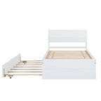 Twin Size White Wood Platform Bed with Twin Trundle