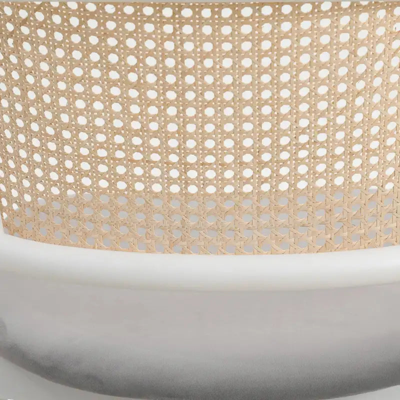 Ervilla Modern Stylish Side Chair with Rattan Back and White Steel Legs for Dining Room & Kitchen, Set of 2