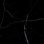 SAFAVIEH Couture Zenica Leather Safari Chair - 24.5 W x 30 L x 30 H - 25W x 30D x 30H