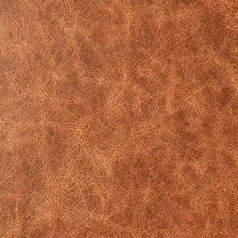 Classic Home Dolton Top Grain Leather Arm Chair