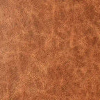 Classic Home Dolton Top Grain Leather Arm Chair